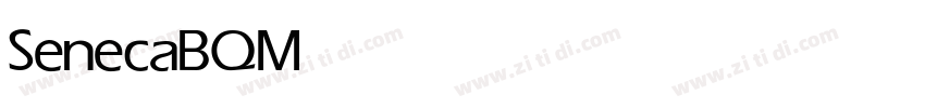 SenecaBQ Medium字体转换